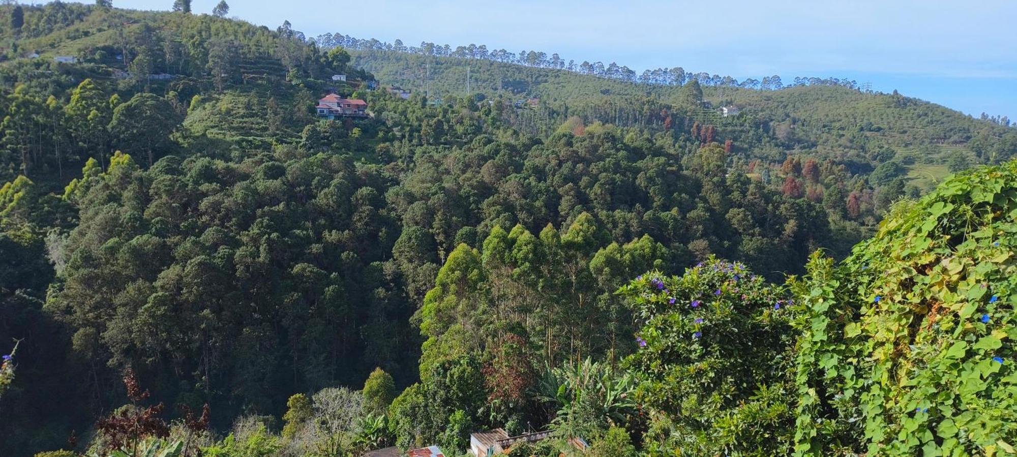 Hotel Highland Heaven Kodaikanal Exteriér fotografie